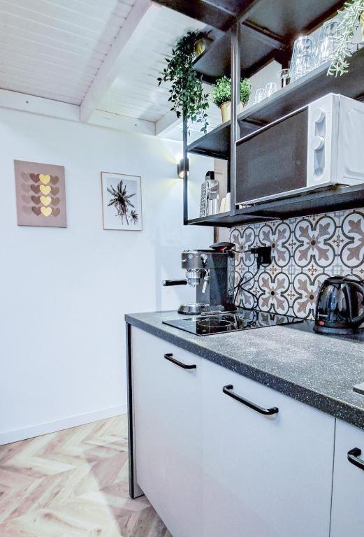 Lion Apartments - Premium Studio With Balcony Cracovie Extérieur photo