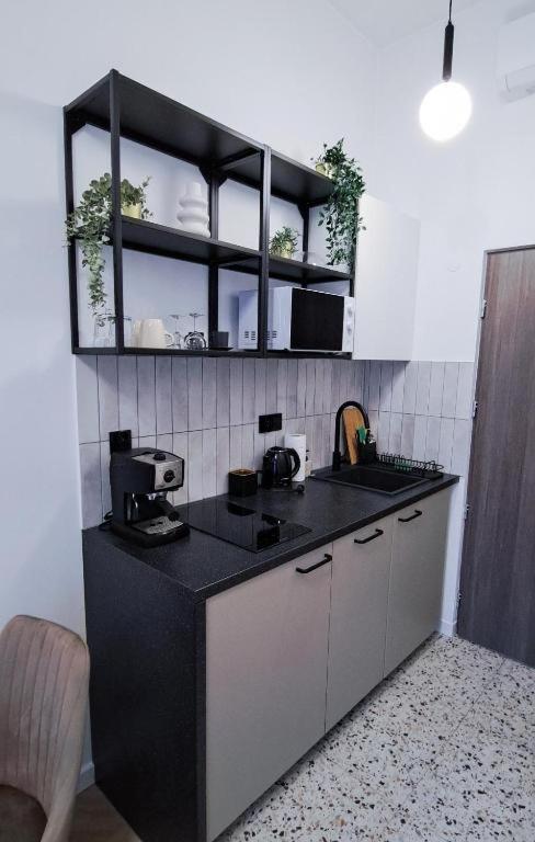 Lion Apartments - Premium Studio With Balcony Cracovie Extérieur photo