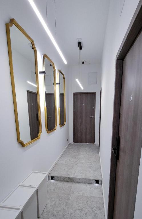 Lion Apartments - Premium Studio With Balcony Cracovie Extérieur photo